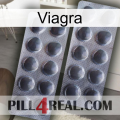 Viagra 31